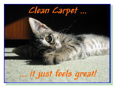 Carpet cleaning service and upholstery cleaning Crawley, East Grinstead, Horley, Horsham, Copthorne, Lingfield and all surrounding 
areas